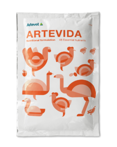 Artevida-web